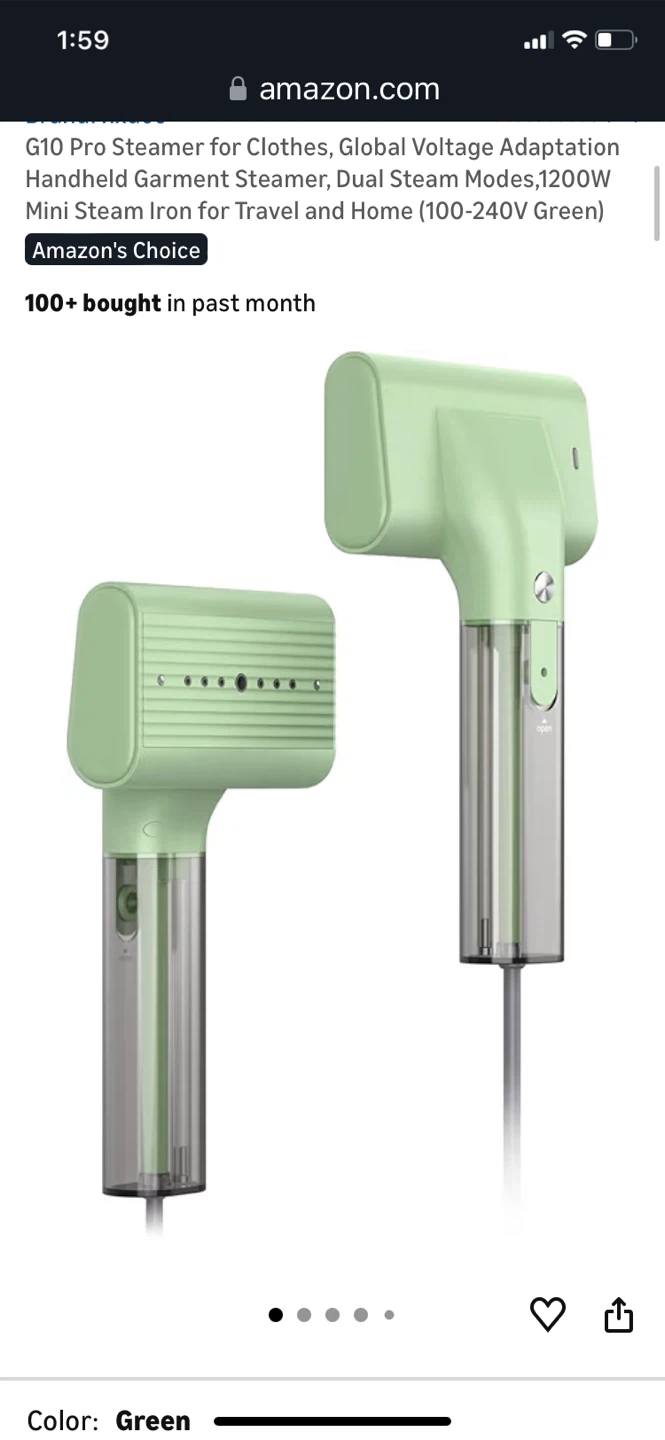 G10 Pro Mini Garment Steamer for Clothes - Green