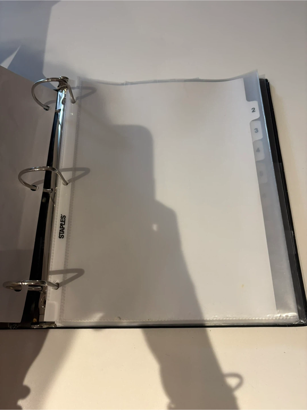 3-Ring Binder + Dividers and Sheet Protector - photo 3