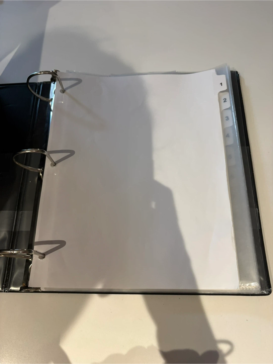 3-Ring Binder + Dividers and Sheet Protector - photo 2