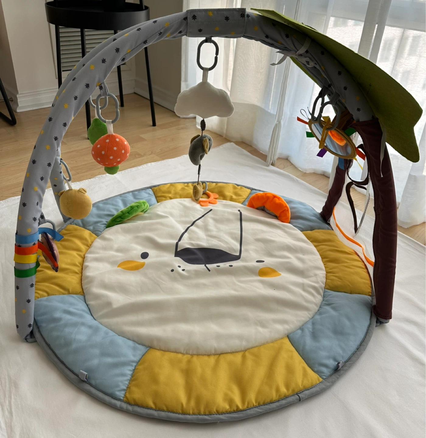 Baby Play Gym
