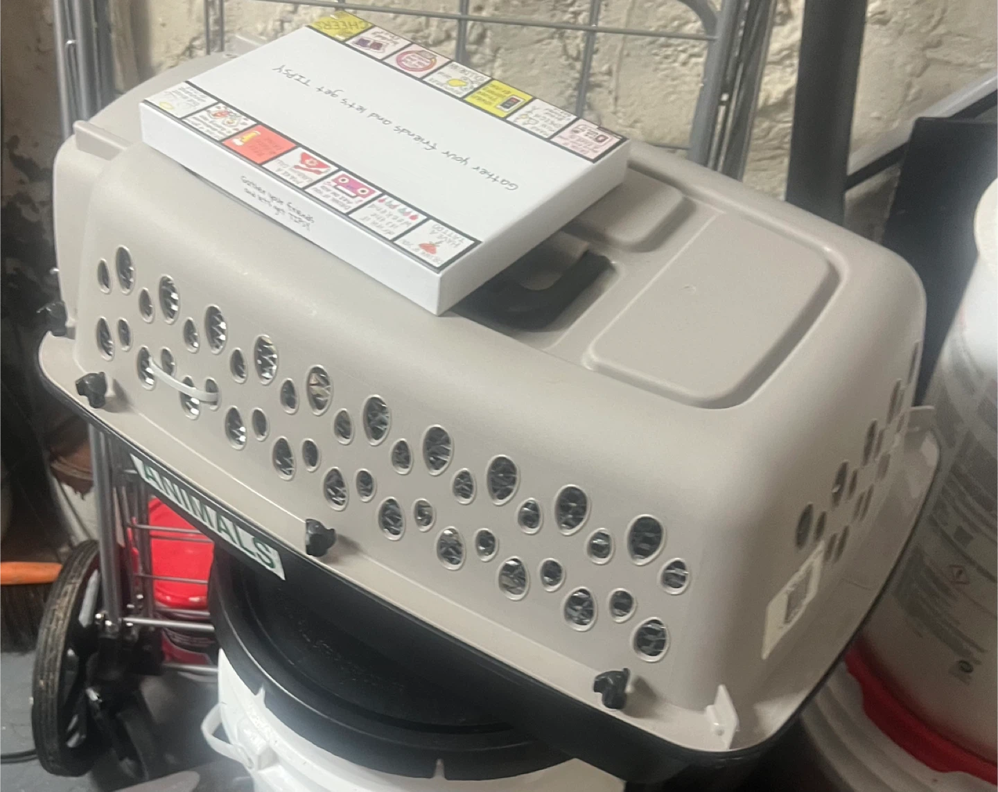Pet Carrier