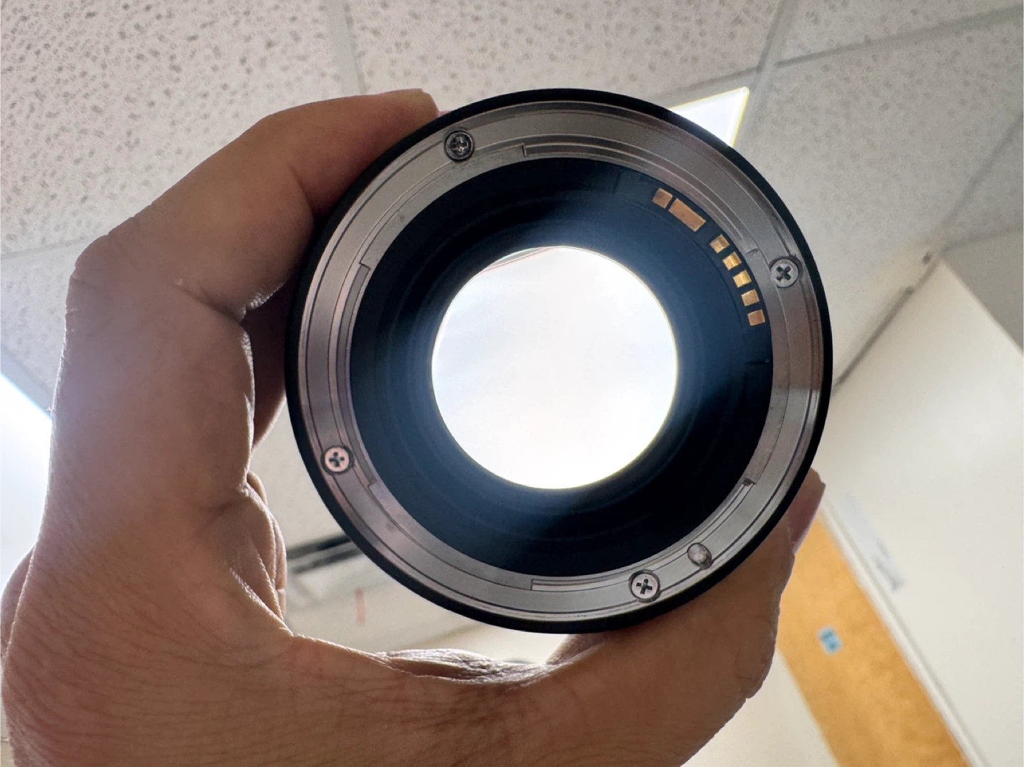 Canon EF 50mm f/1.4 - photo 3