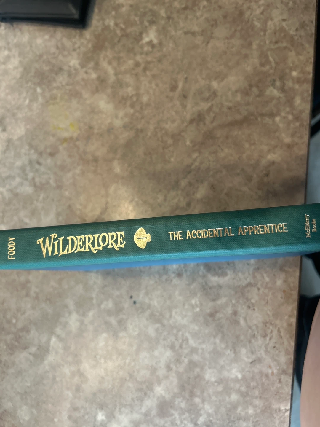 Wilderlore: The Accidental Apprentice by "FOODY" - photo 2