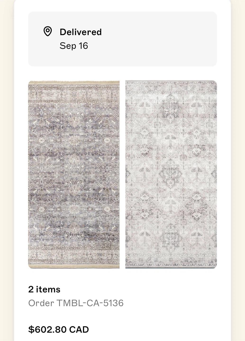 TUMBLE RUGS!!2 Rugs - 5x7' - photo 2