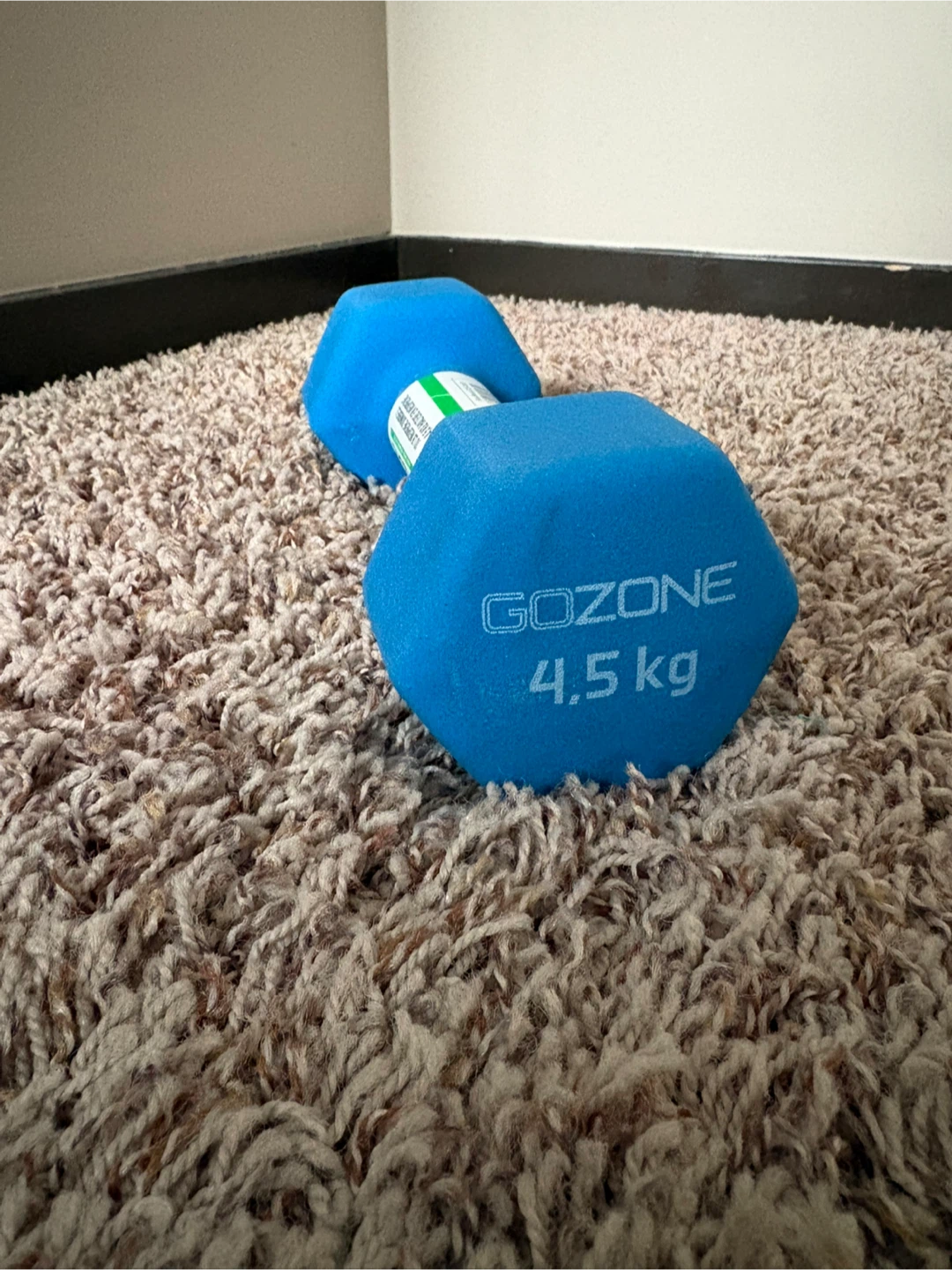 GoZone 10 lb (4.5 kg) Dumbbell - photo 3