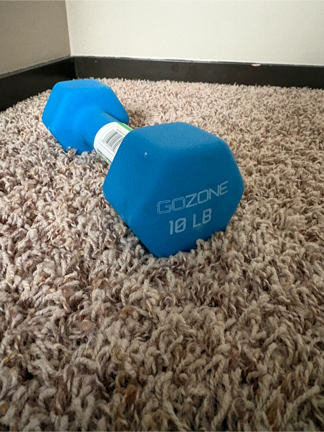 GoZone 10 lb (4.5 kg) Dumbbell - photo 2