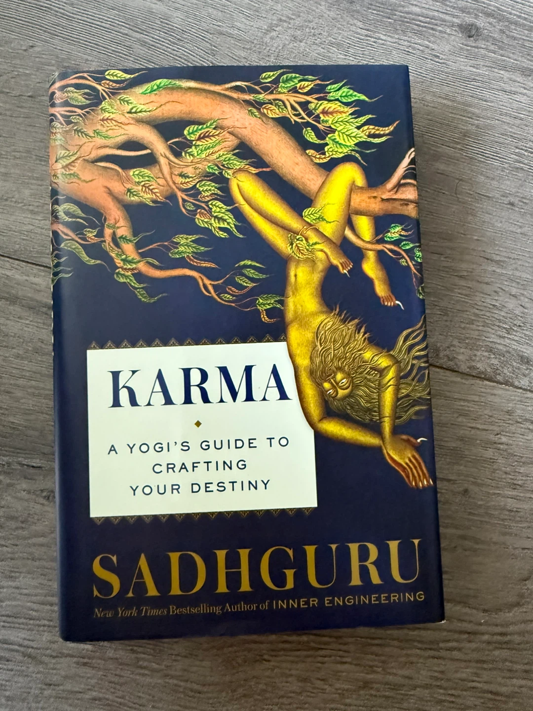 Karma: A Yogi's Guide to Crafting Your Destiny by Sadhguru