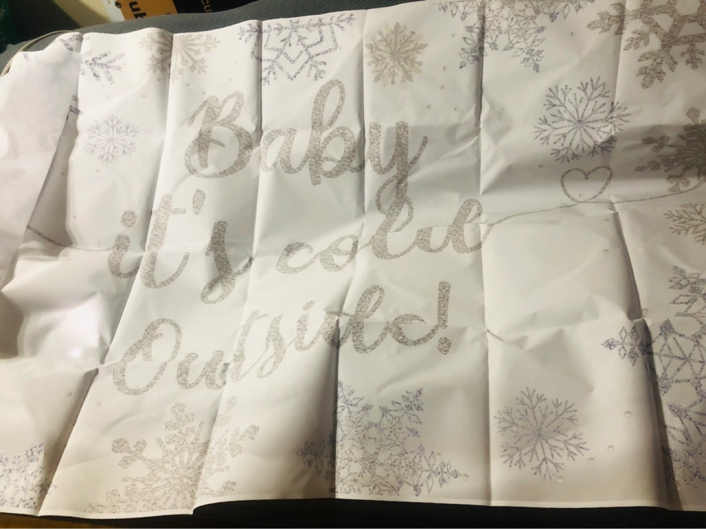 New-Baby, It's Cold Outside! Backdrop! - photo 4