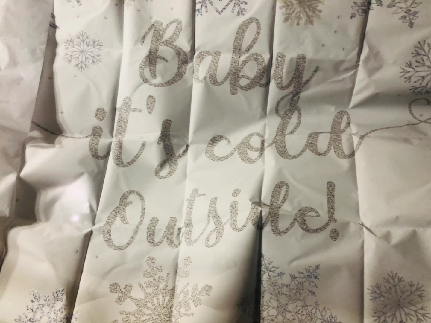 New-Baby, It's Cold Outside! Backdrop! - photo 2