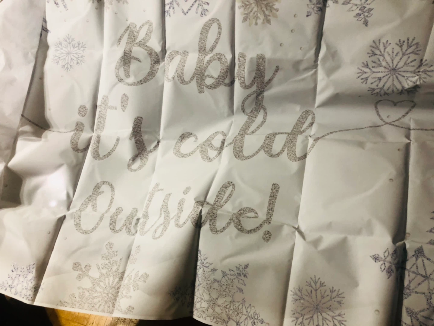 New-Baby, It's Cold Outside! Backdrop! - photo 3