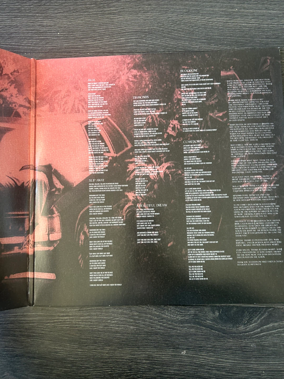 Luke Hemmings Vinyl - photo 2