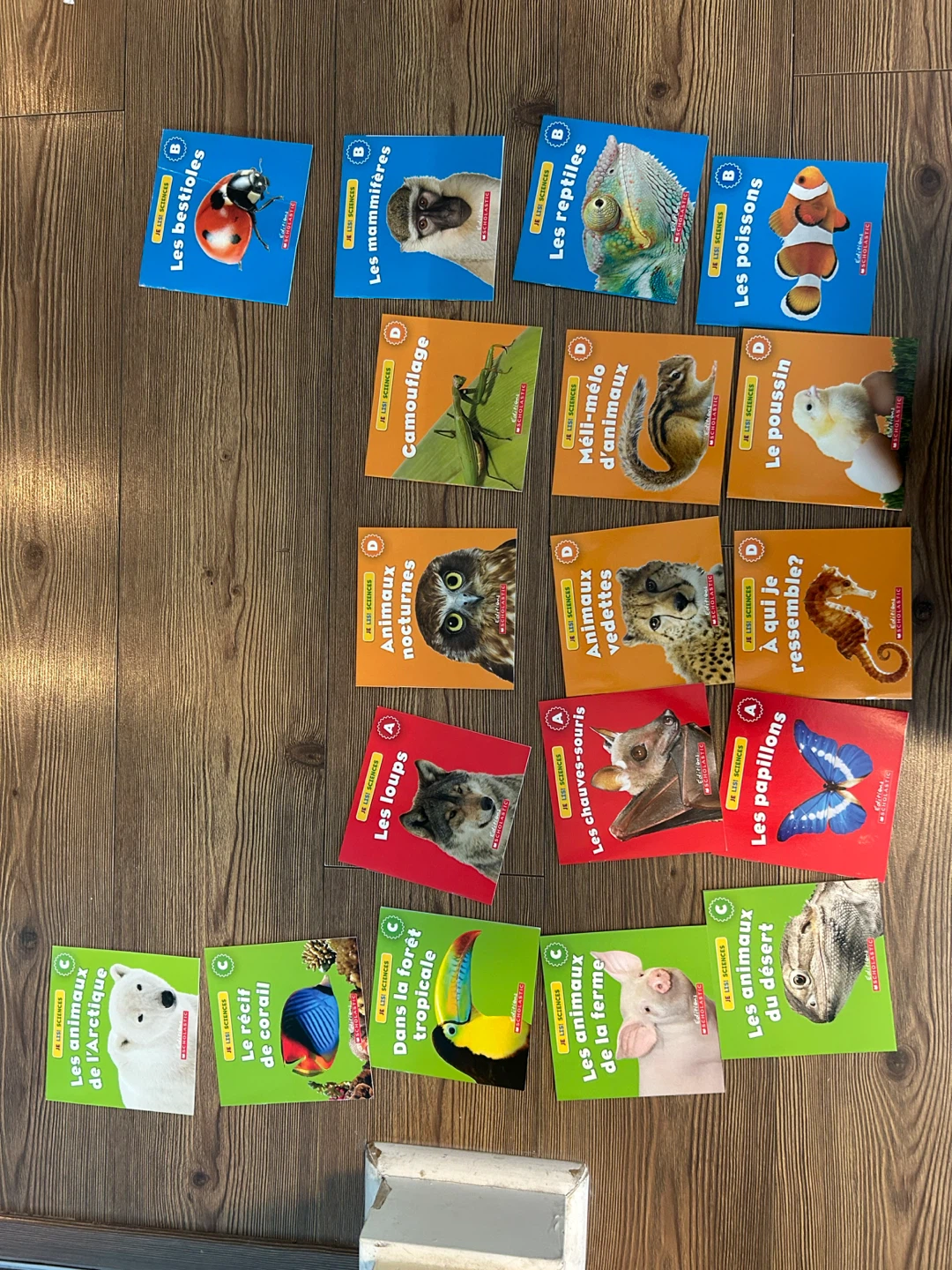 Scholastic Je Lisi Sciences Children's Books (Set of 15)