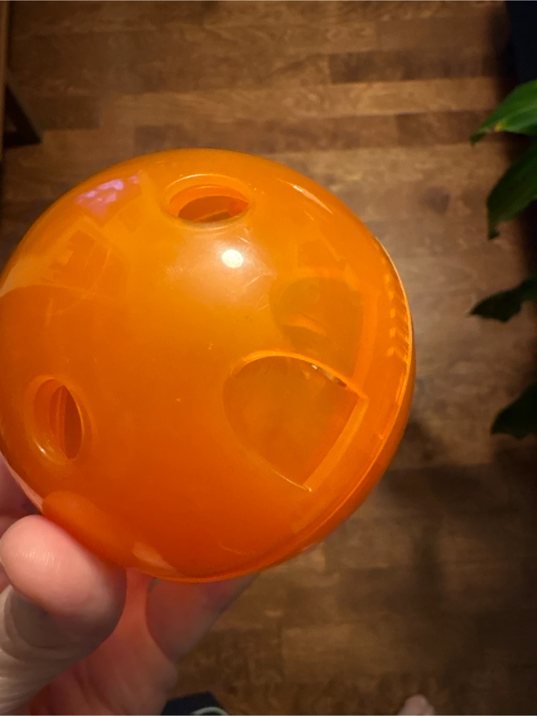 Pet Treat Dispenser Ball