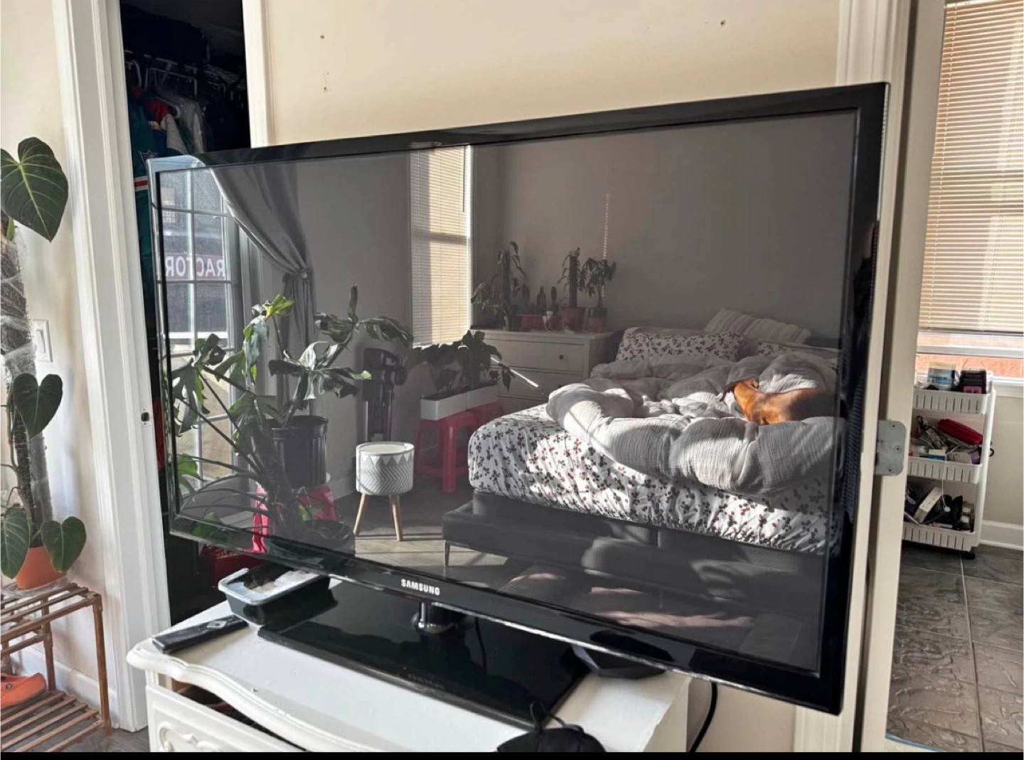 Samsung 51” Plasma Display TV