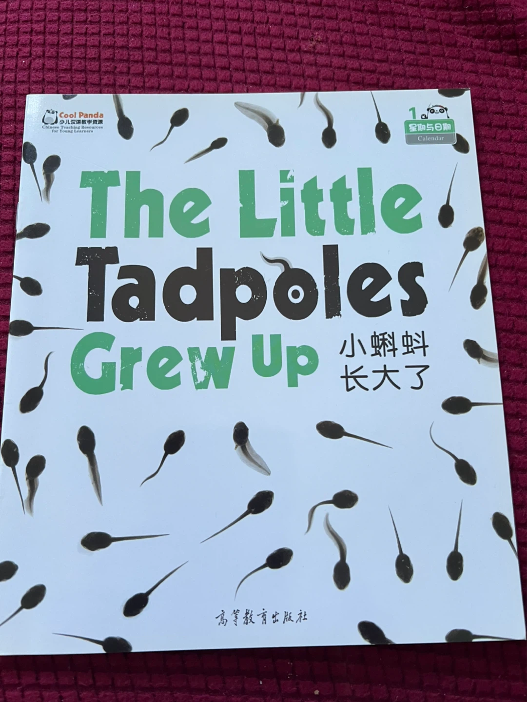 Cool Panda Children's Books (Set of 5) - photo 2