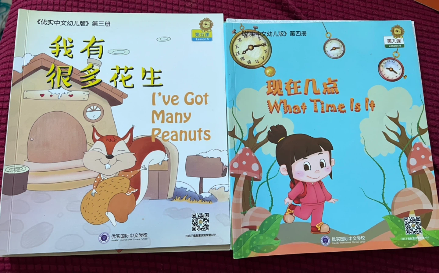 Collection of 9 Children's Chinese Learning Books - photo 3