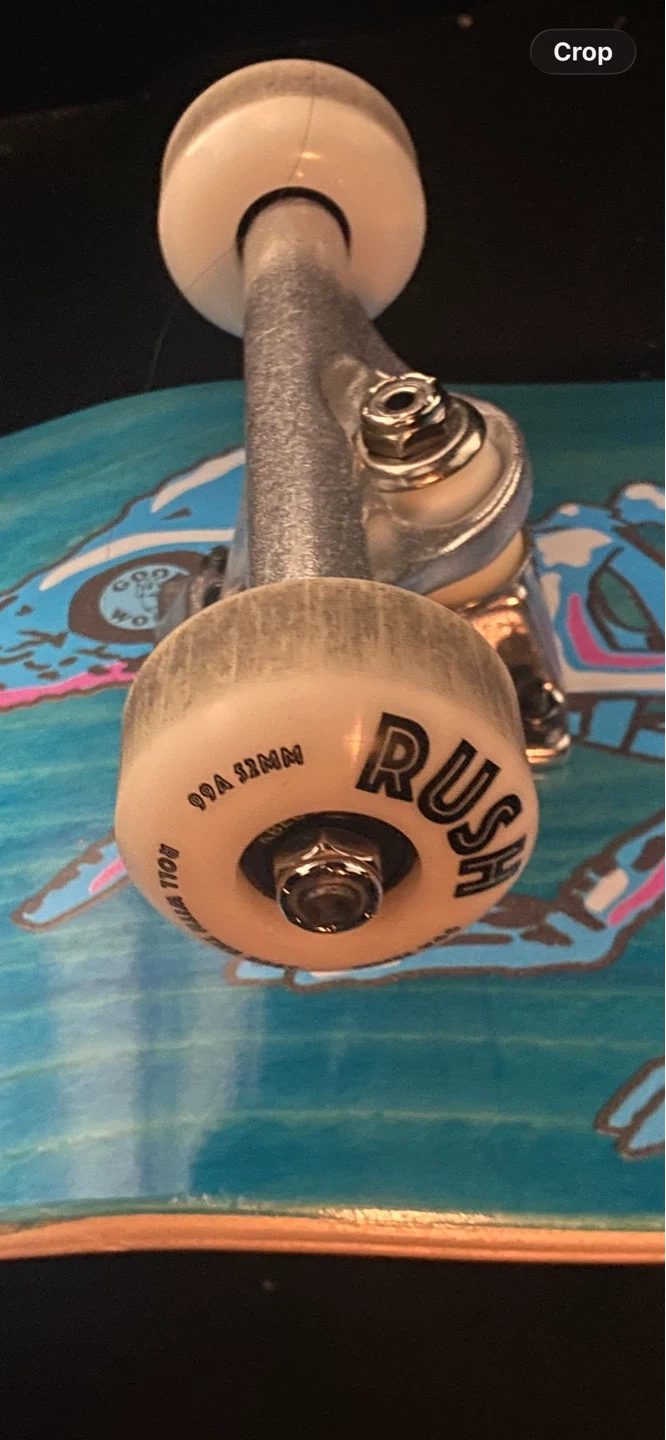 Skateboard with Skeleton Graphic | Karrot