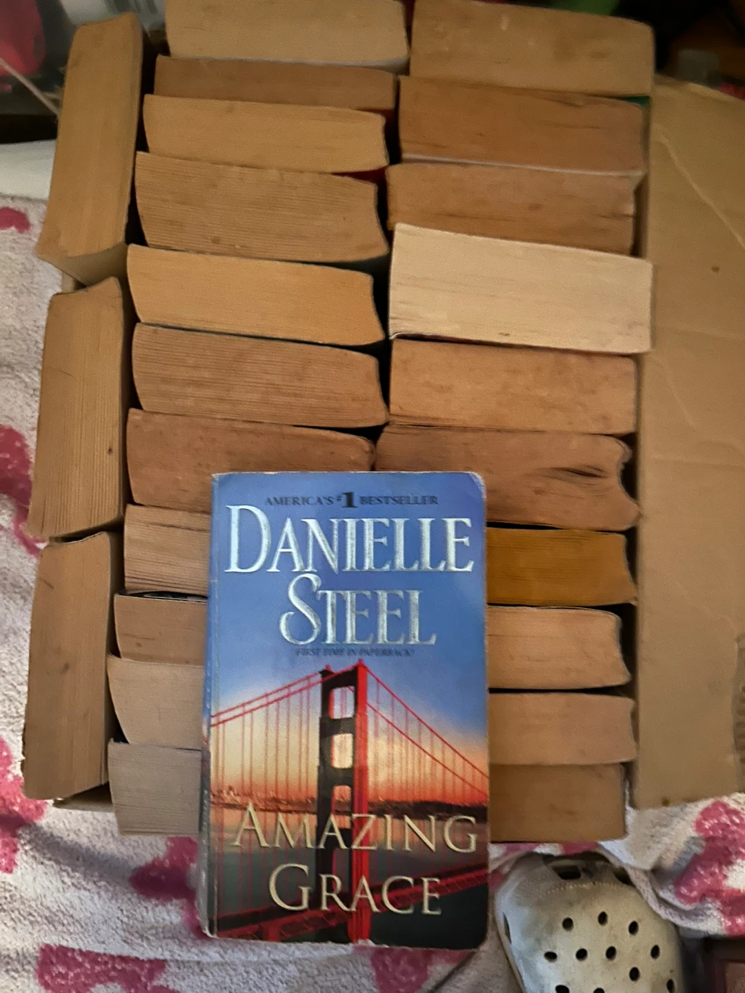 Danielle Steel Amazing Grace Paperback Book