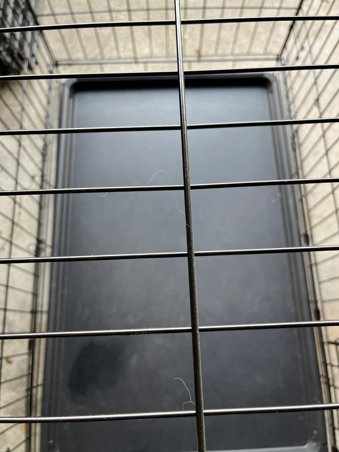 Black Metal Dog Crate with Tray - photo 3