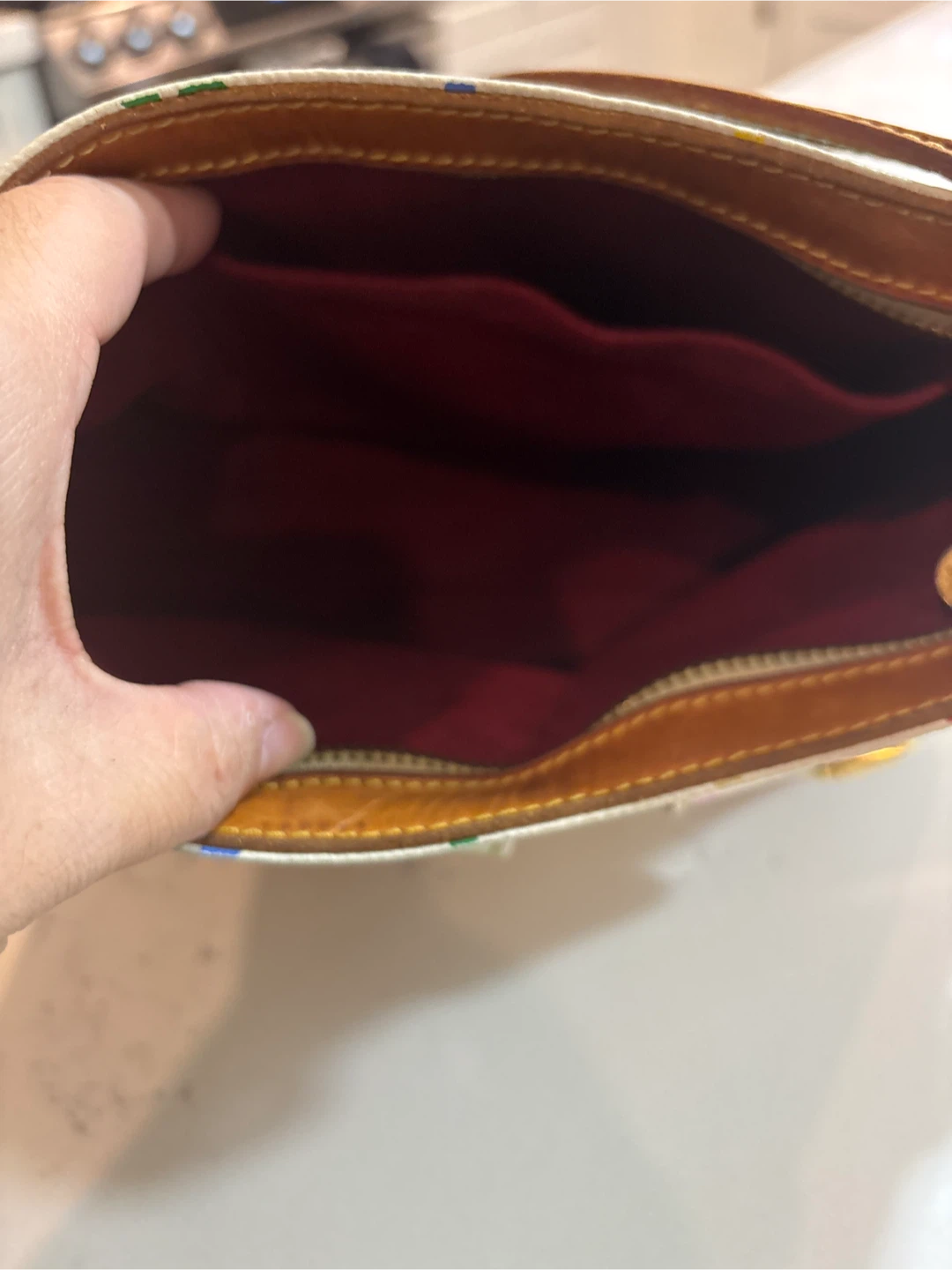 Louis Vuitton Multicolor Pochette Accessoires Bag - photo 4