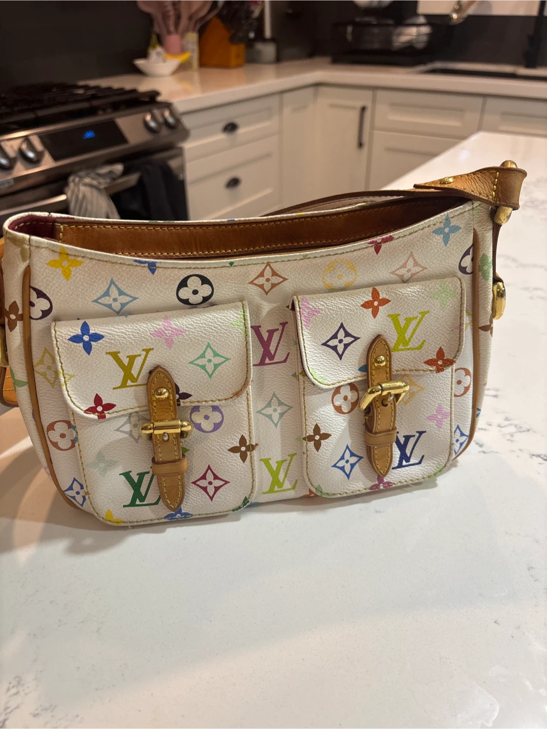 Louis Vuitton Multicolor Pochette Accessoires Bag
