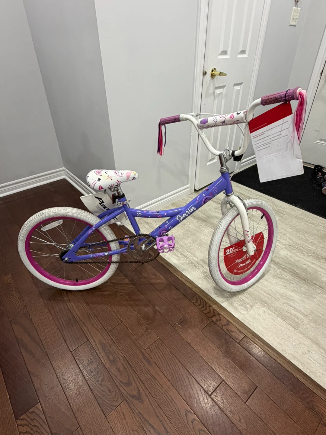 Pacific Youth Bike 20”