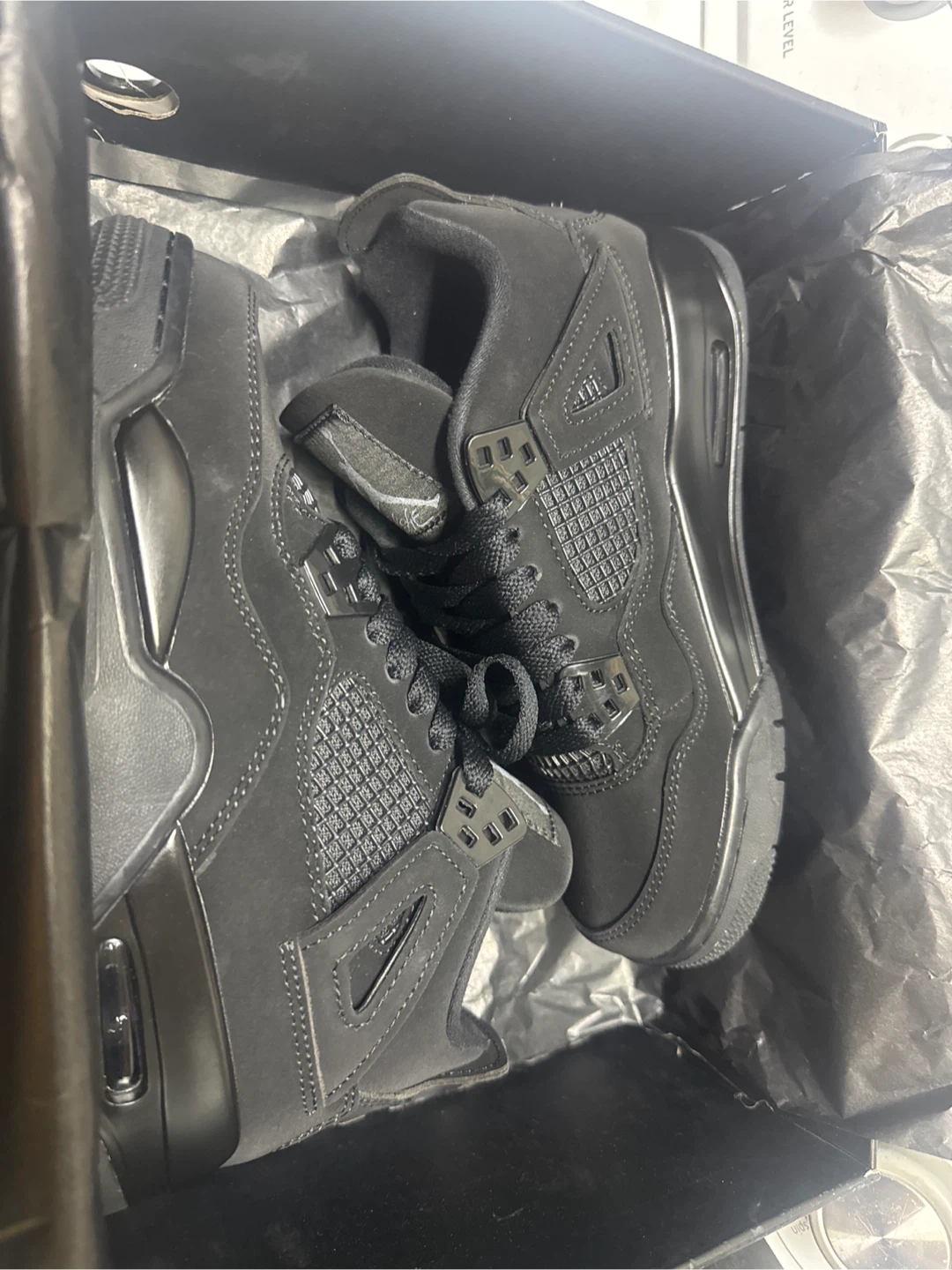 Air Jordan 4 Black Cat - photo 3