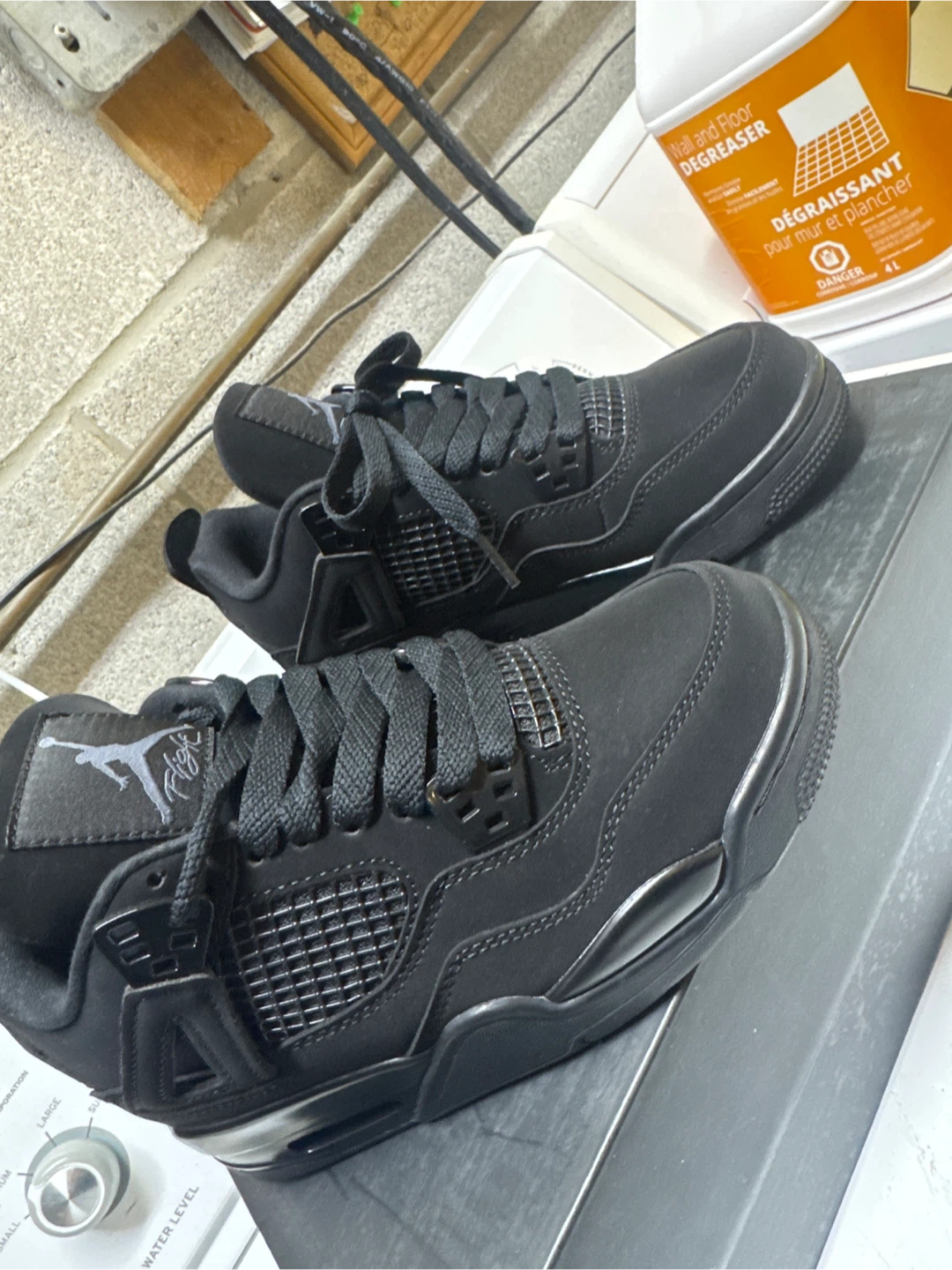 Air Jordan 4 Black Cat