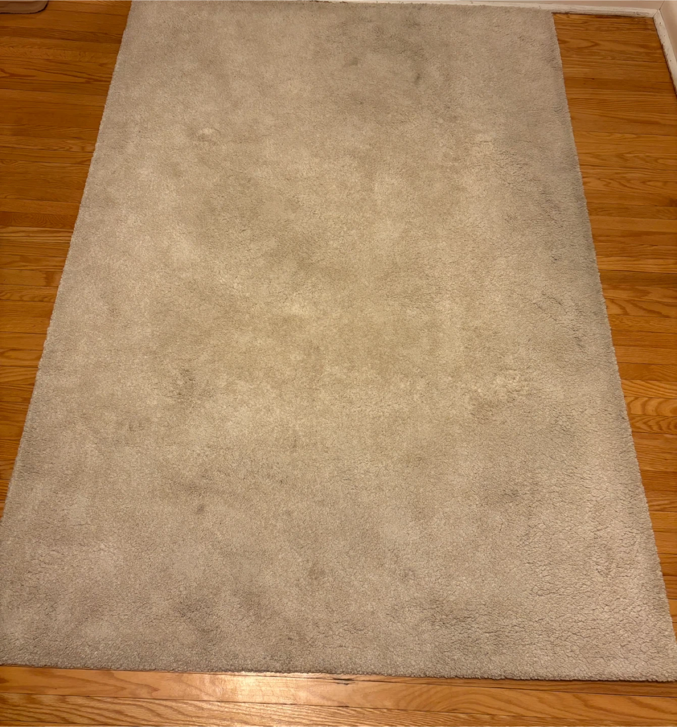 Beige Shag Area Rug