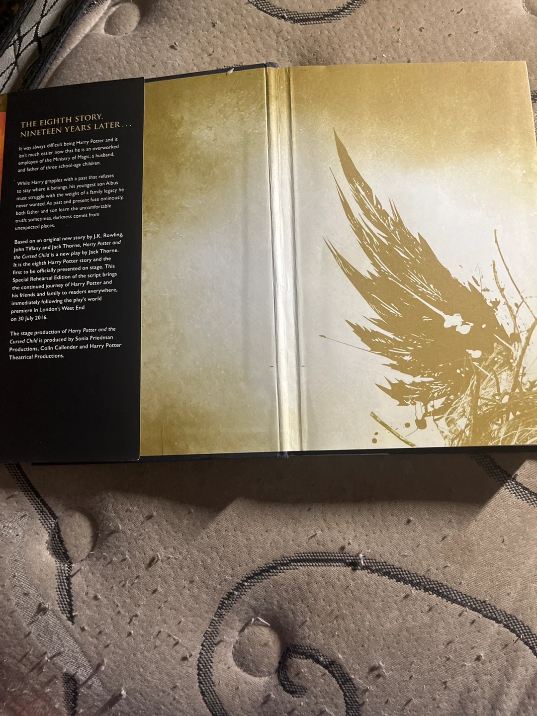 Harry Potter and the Cursed Child Parts One and Two - photo 3