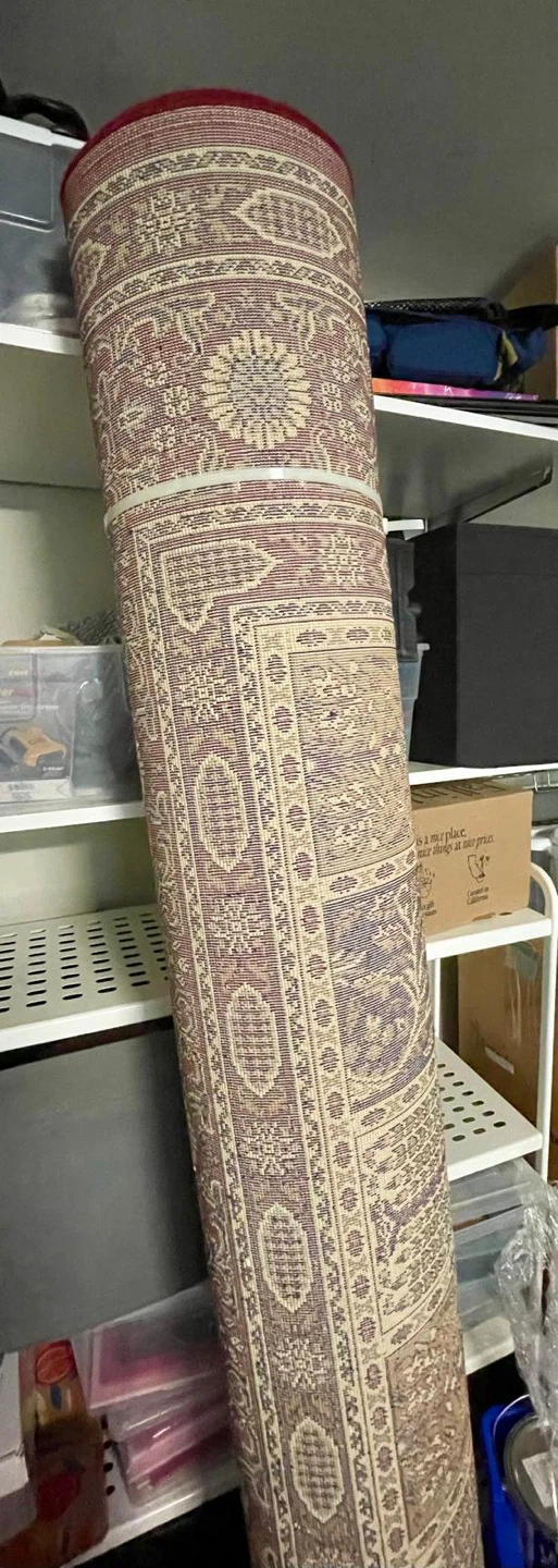 Persian Style Area Rug - Ikea - photo 2