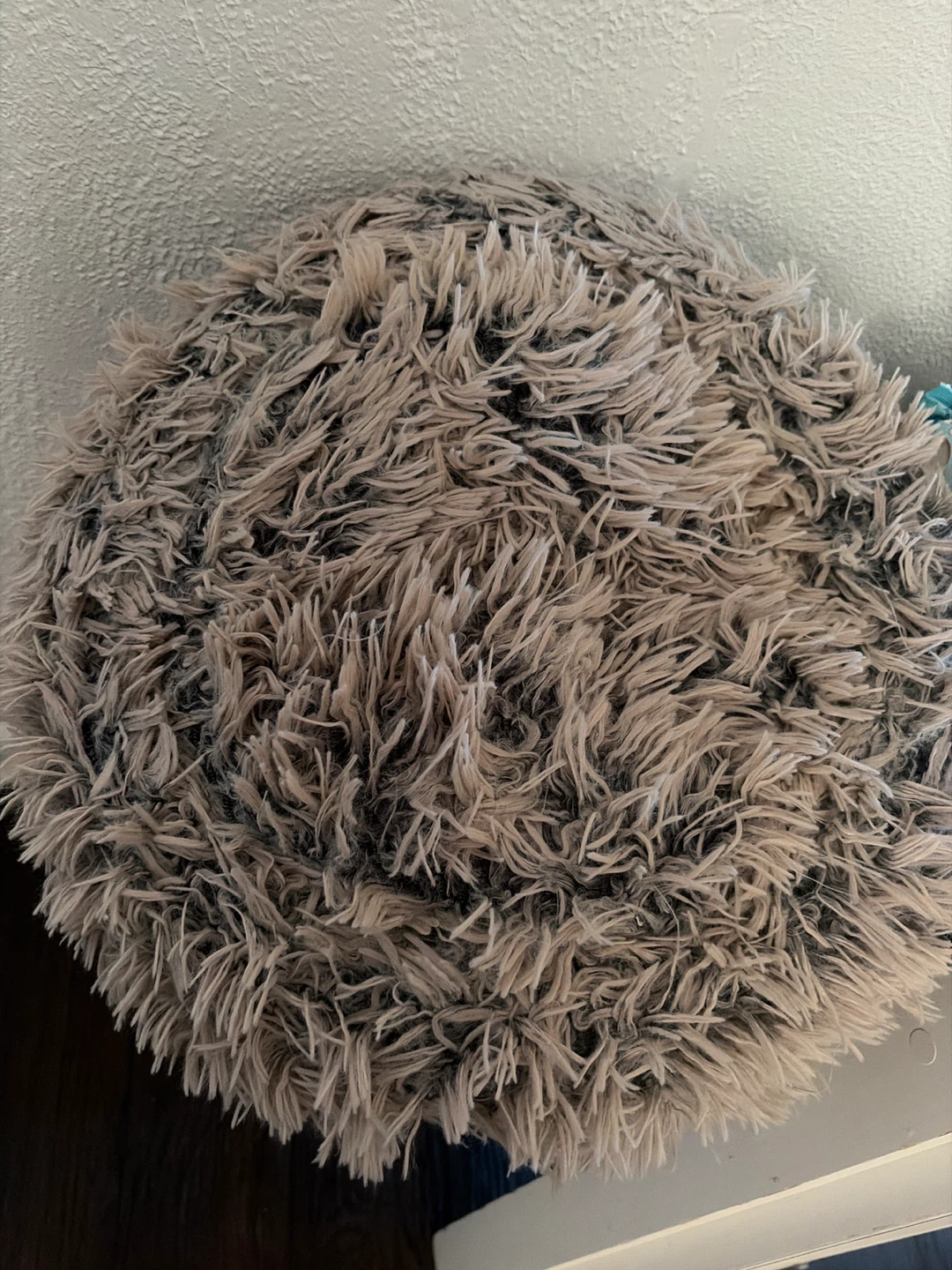 Shaggy Small Dog Bed