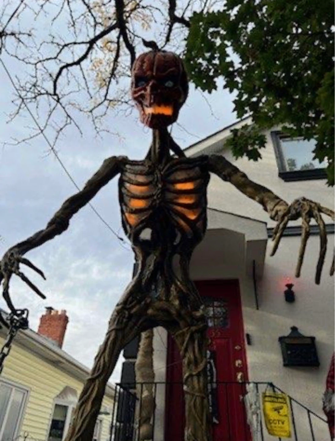 Large Halloween Skeleton & Witch Yard Decorations