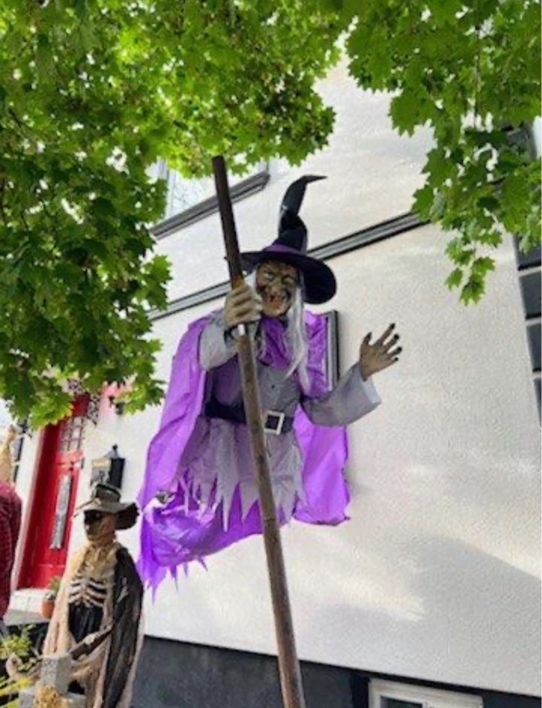 Large Halloween Skeleton & Witch Yard Decorations - photo 3