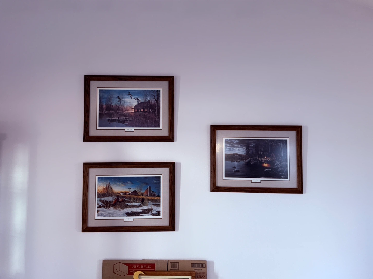 Framed Wildlife Art Prints Lot 31x23
