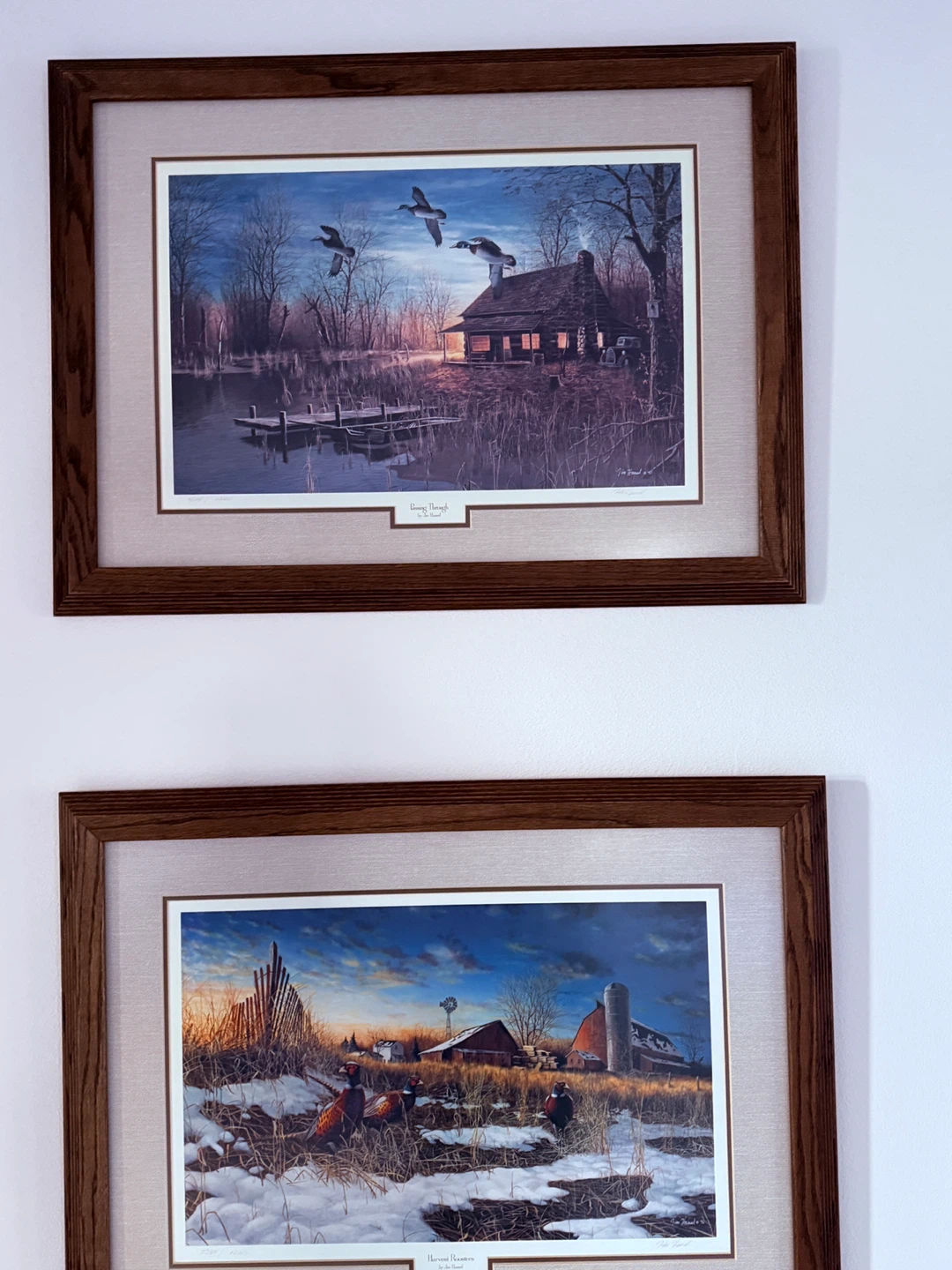 Framed Wildlife Art Prints Lot 31x23 - photo 3