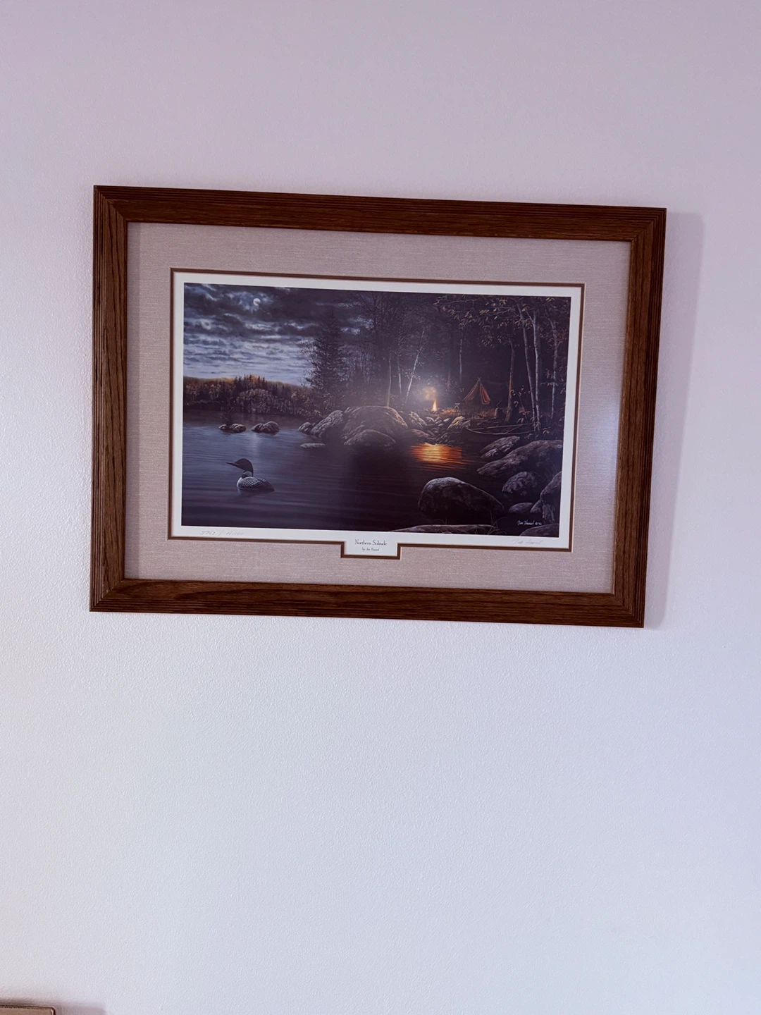 Framed Wildlife Art Prints Lot 31x23 - photo 2