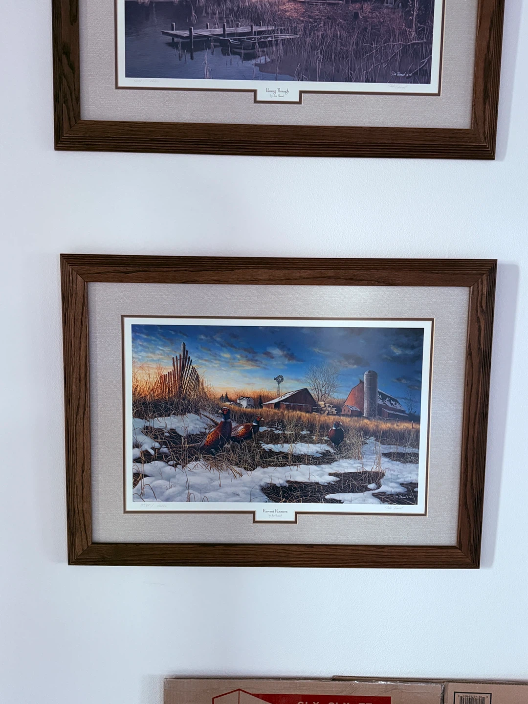 Framed Wildlife Art Prints Lot 31x23 - photo 4