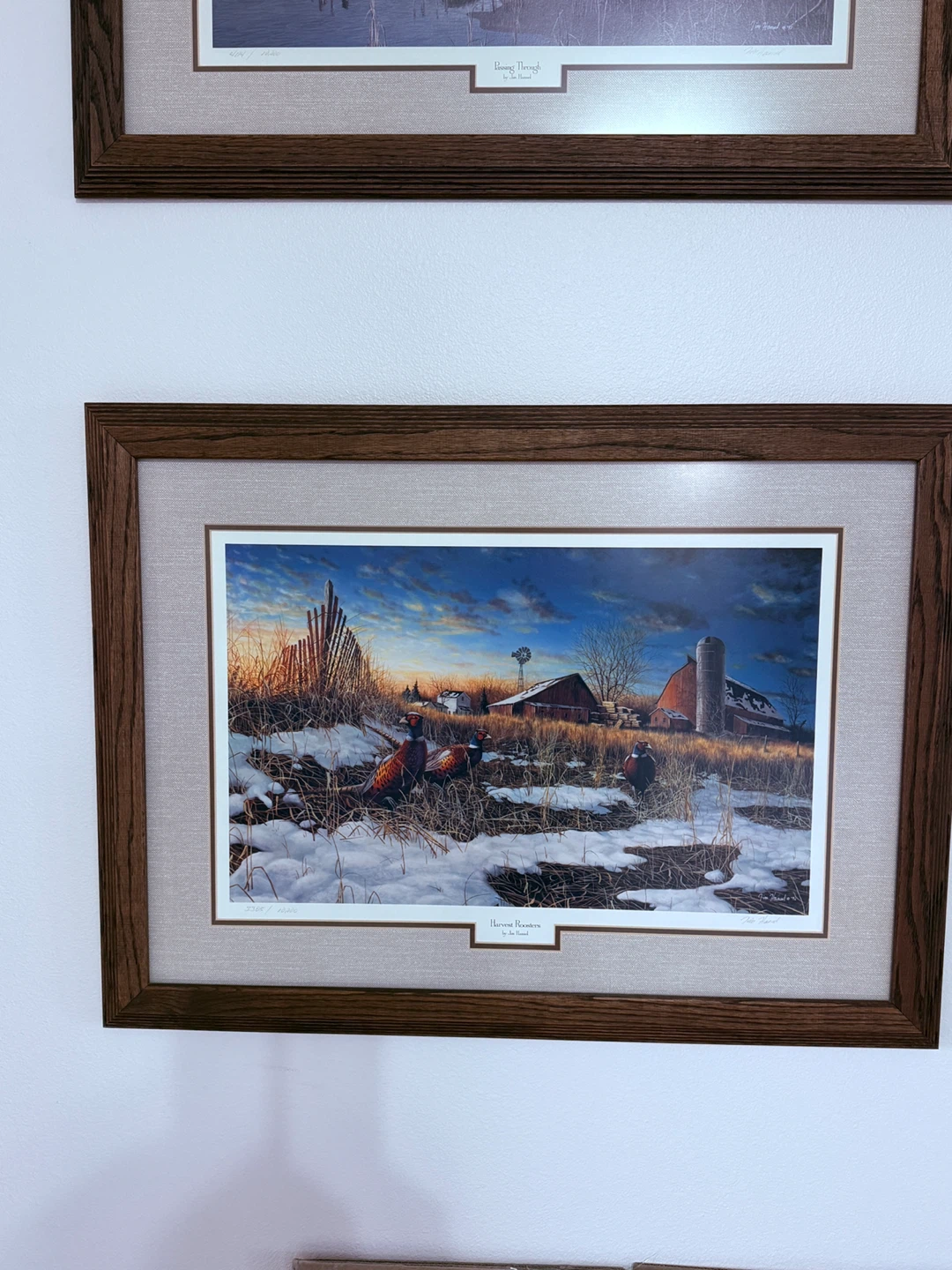 Framed Wildlife Art Prints Lot 31x23 - photo 5