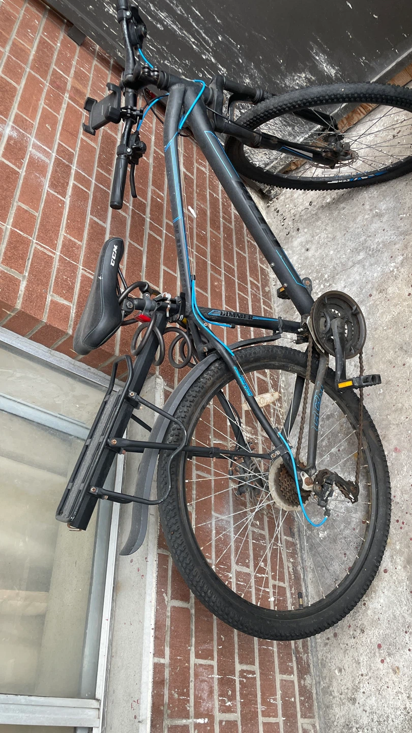 CCM Dimmer - Ridge Mountain Bike