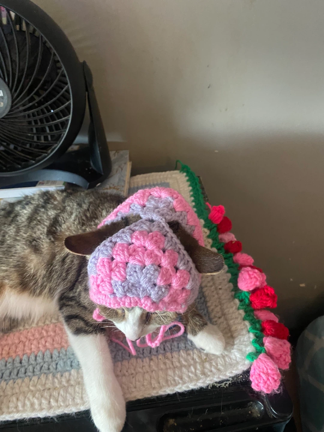 Crocheted Cat bandana