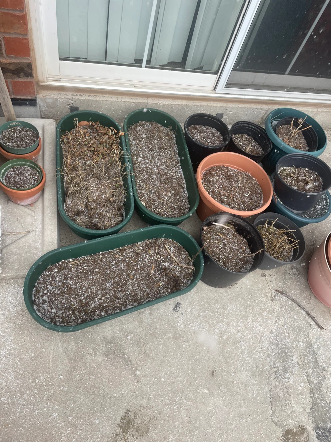 Assorted Plant Pots and Planters - photo 3