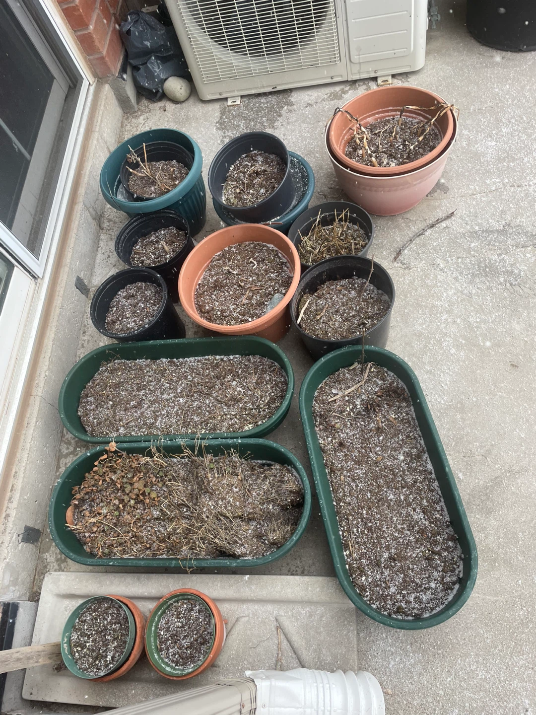 Assorted Plant Pots and Planters - photo 2
