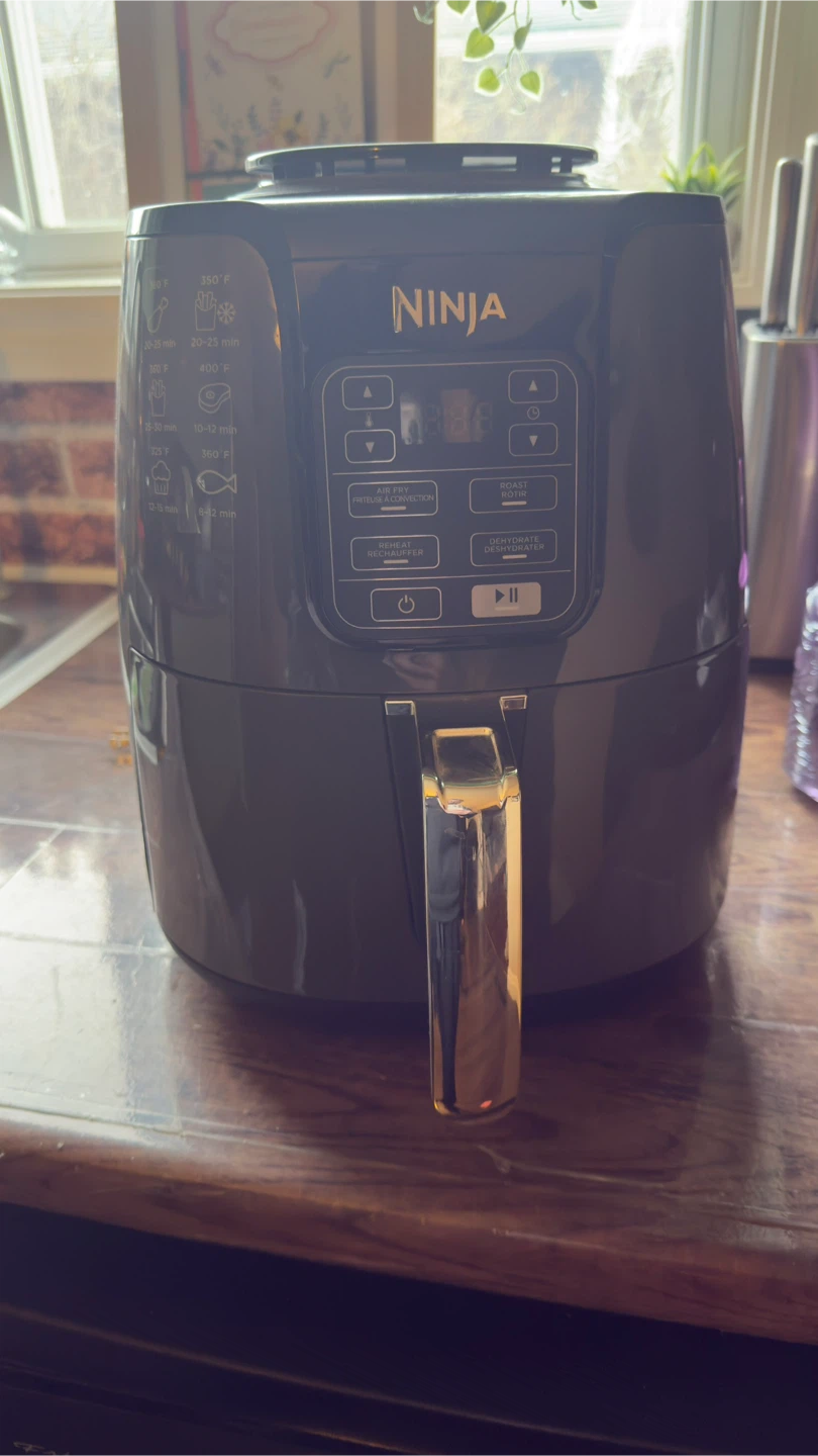 Ninja Air Fryer single basket