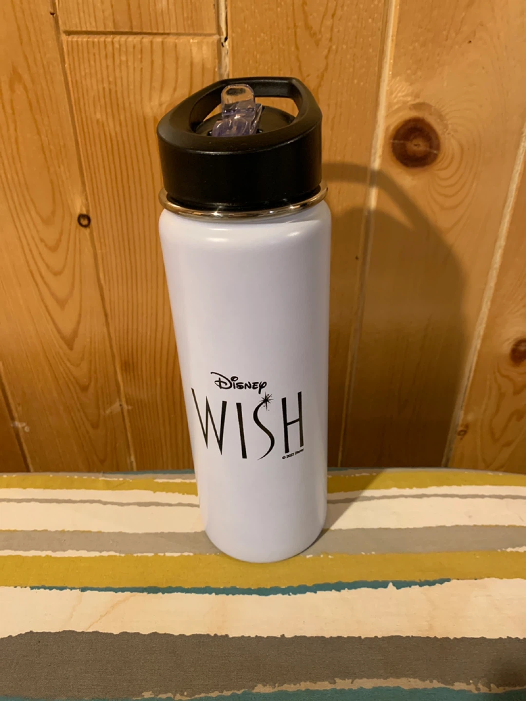 Disney Wish Water Bottle