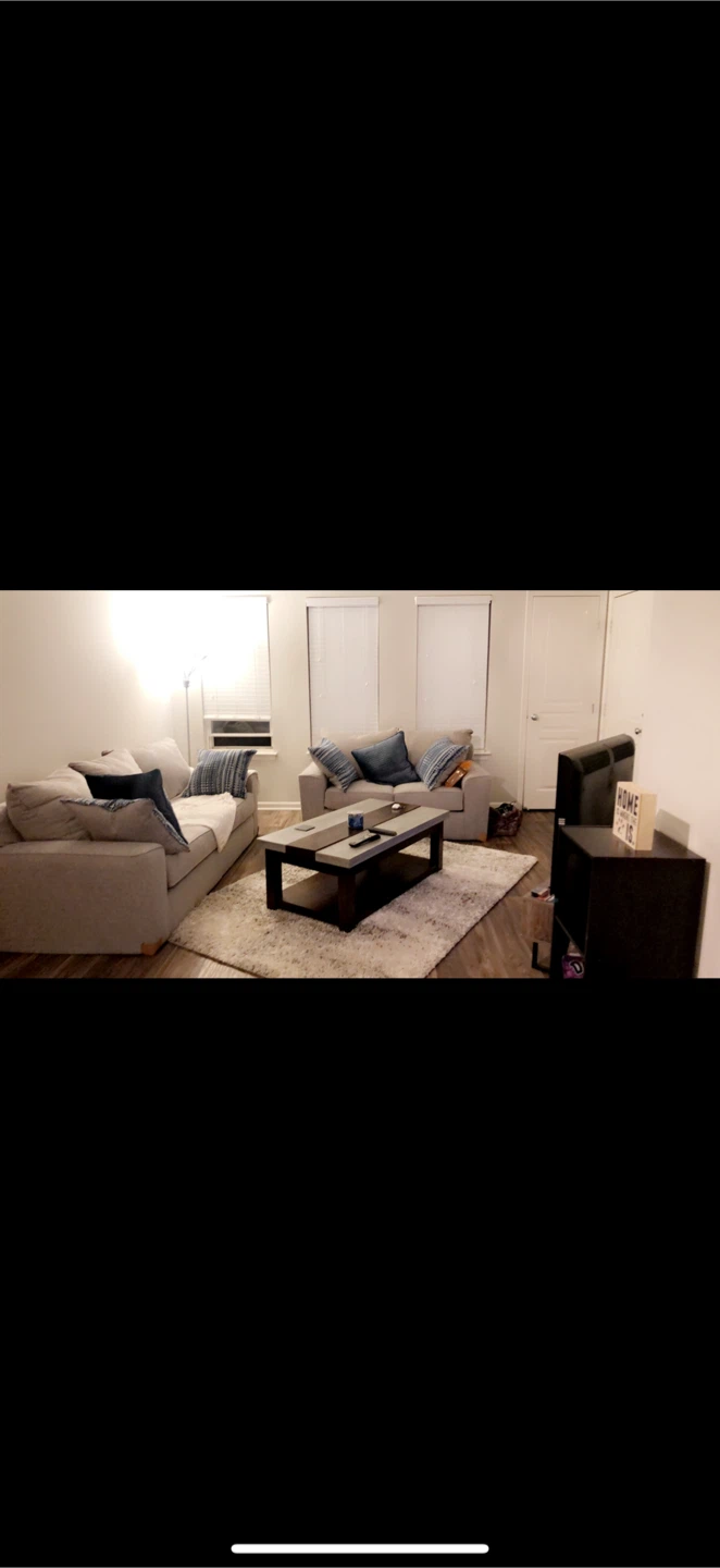 Sofa + love seat - photo 2