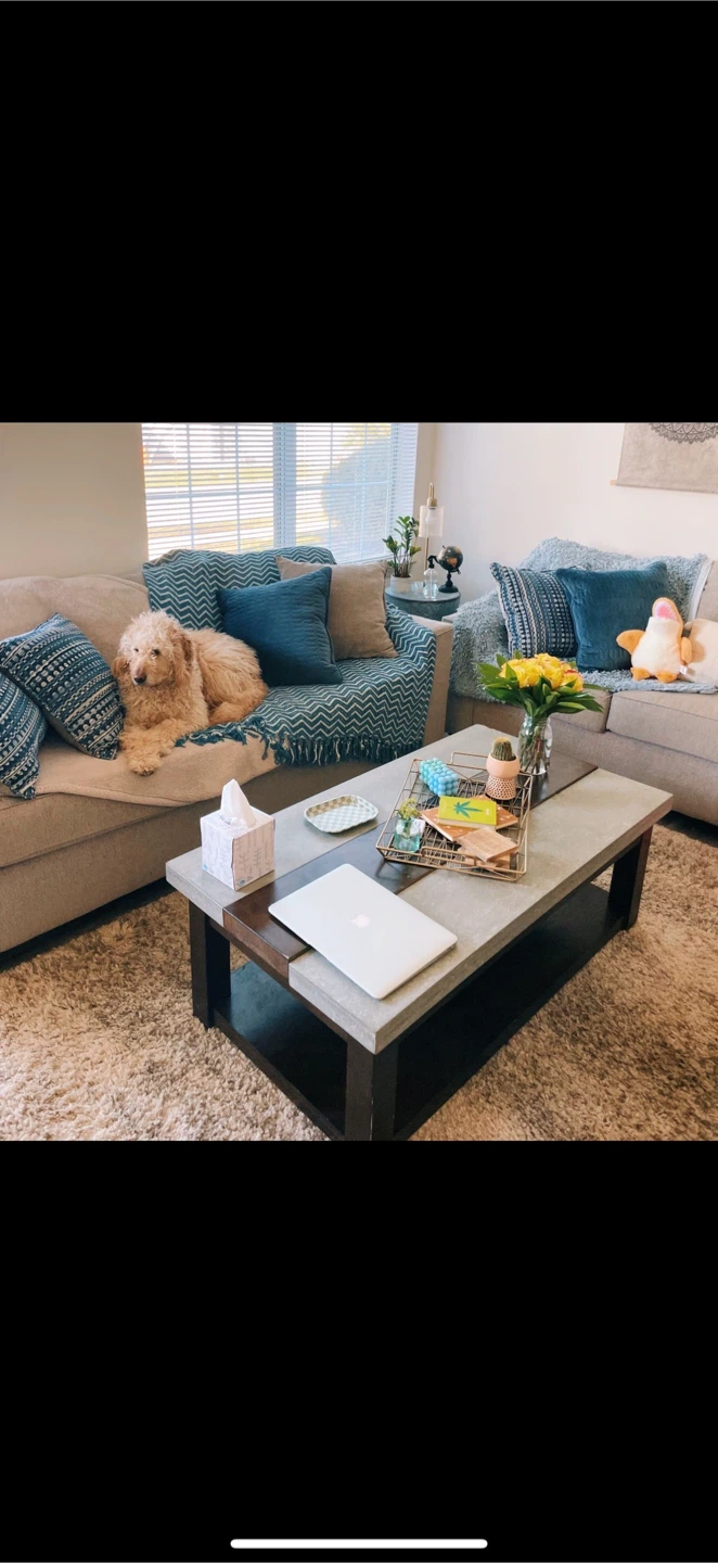 Sofa + love seat
