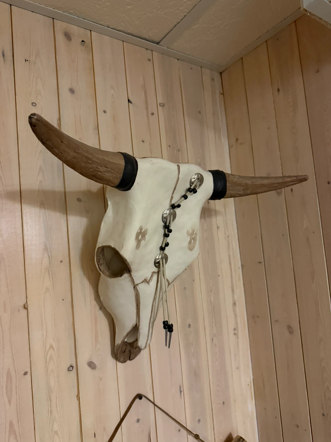 Wall Mounted Bull Skull Decor