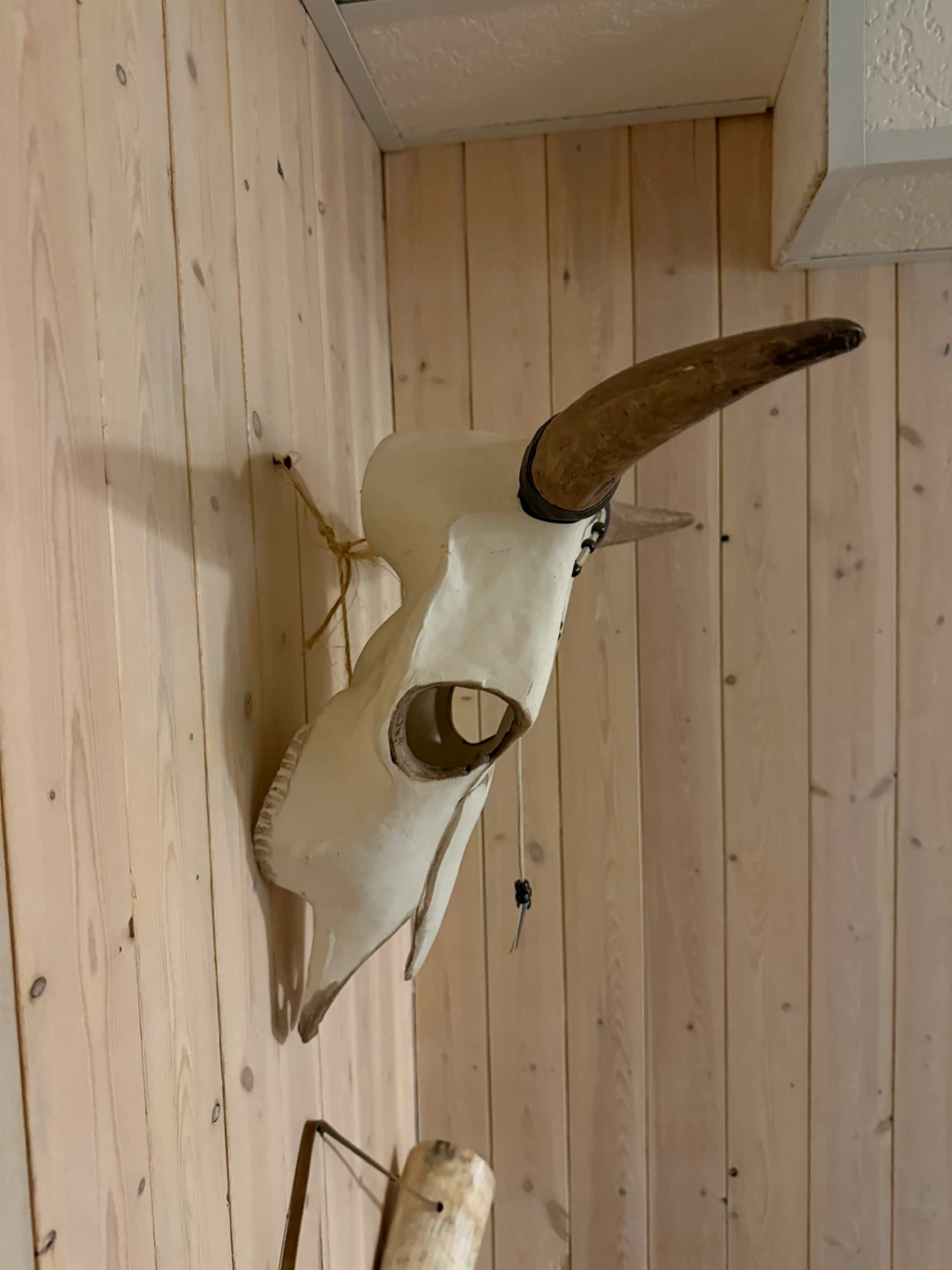 Wall Mounted Bull Skull Decor - photo 3