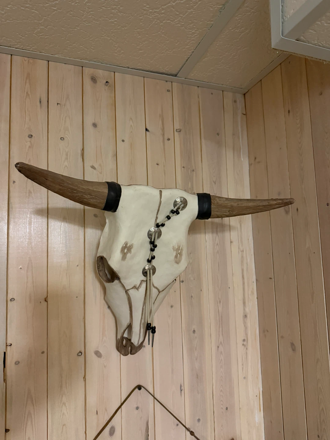 Wall Mounted Bull Skull Decor - photo 2